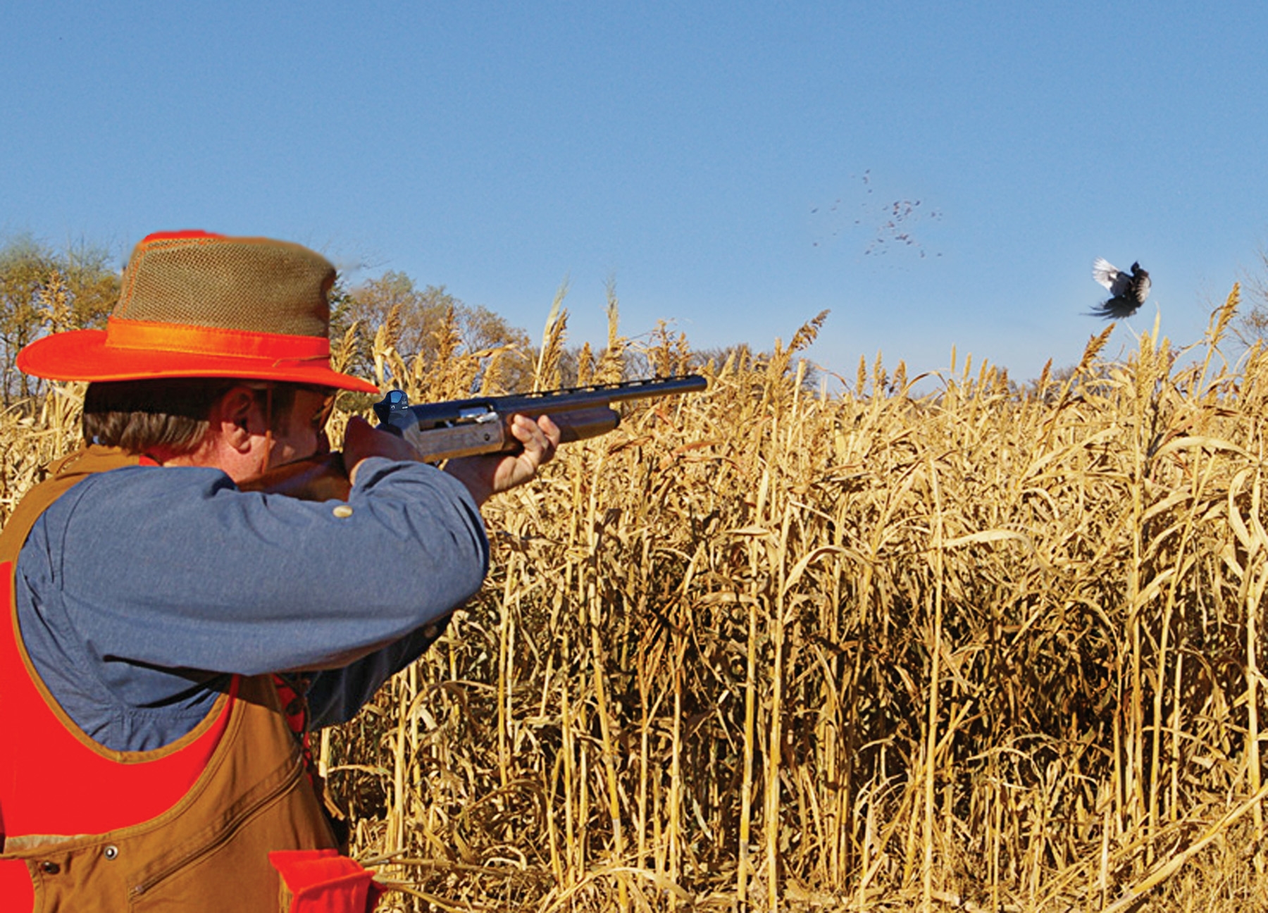 Zakres powiększeń (x): 1 - LifeGun.pl Kolimator Burris SpeedBead-3