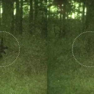 ec paint equpment camouflage signature management