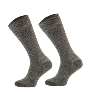 STAN 01 1612823150.png