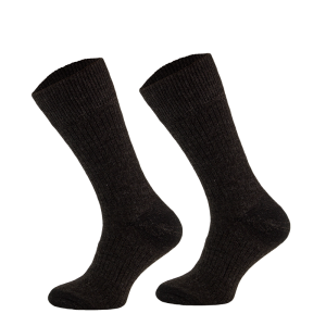 STAN 02 1612823503.png