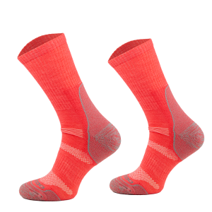 TRE12 11 1644925752.png