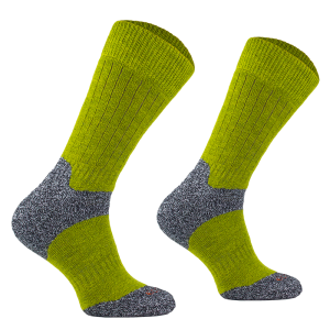 TRE9 06 1612821115.png