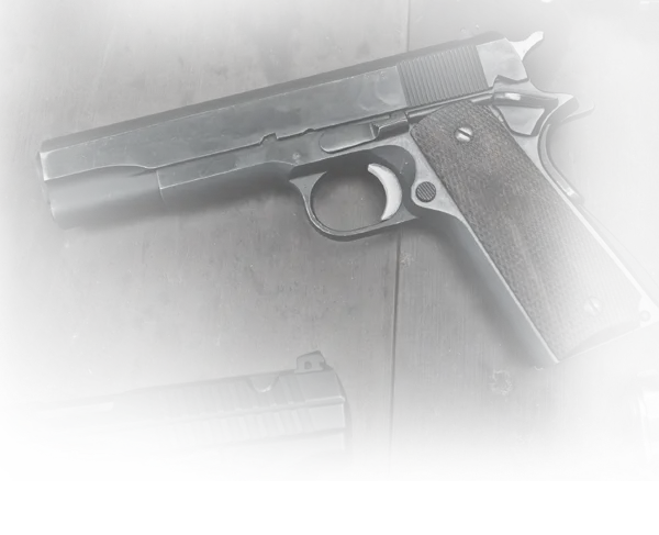 Daniel Defence Daniel H9 org 1911