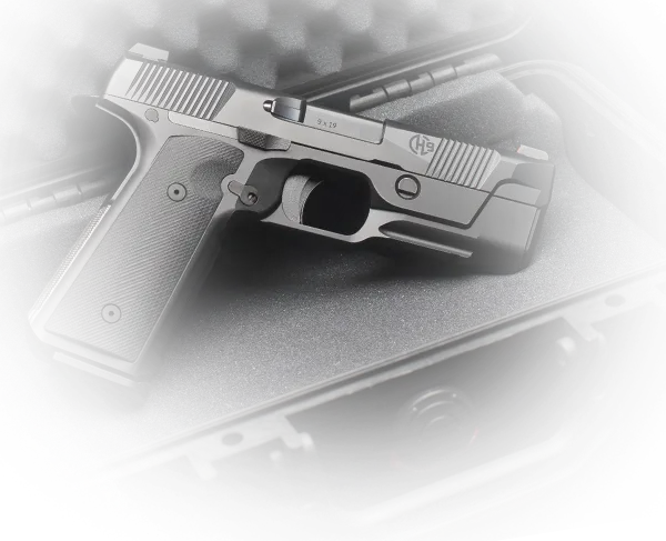 Daniel Defence Daniel H9 org 2024