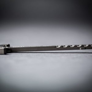 RADIAN RAPTOR SD a89a9393 1 2.jpg