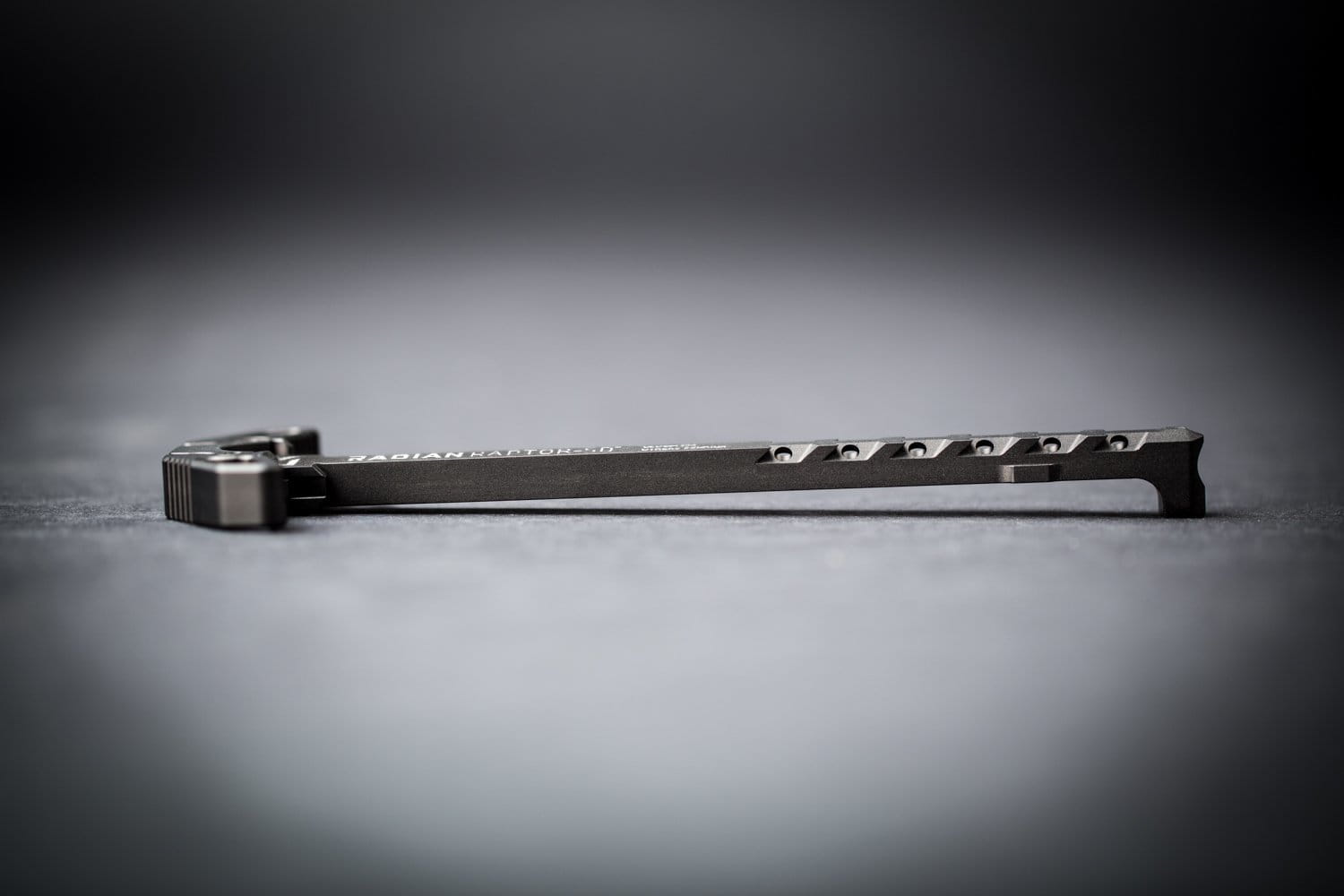 RADIAN RAPTOR SD a89a9393 1 2.jpg