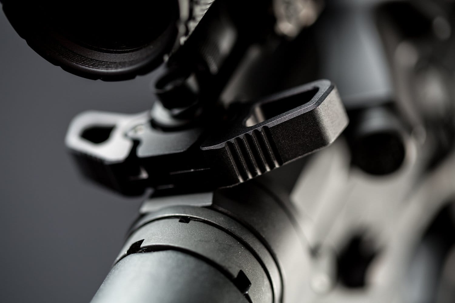 RADIAN RAPTOR SD a89a9506 1 2.jpg