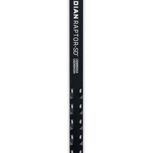 Radian raptor sd.png