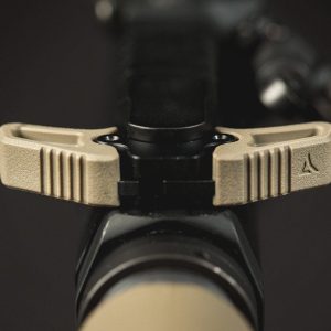 Raptor fde.jpg