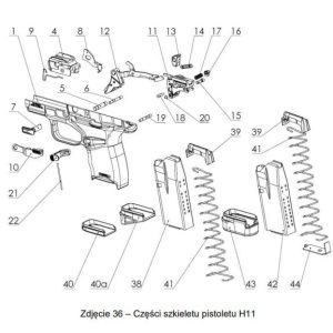 szkielet h11 1.jpg