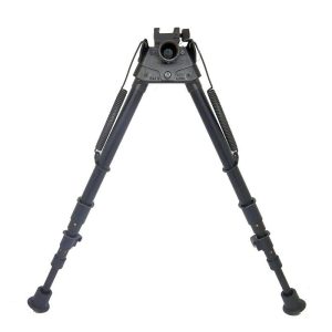 big S 25CP 1.jpg