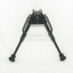 big s br.jpg